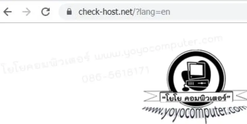 ใส่ชื่อเว็บในช่องค้นหา