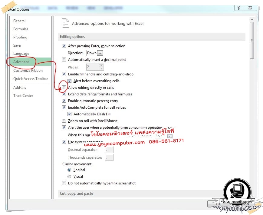 ช่อง Allow editing directly in cells ไม่มีเครื่องหมายถูก ทำให้แก้ไขในเซลล์ไม่ได้