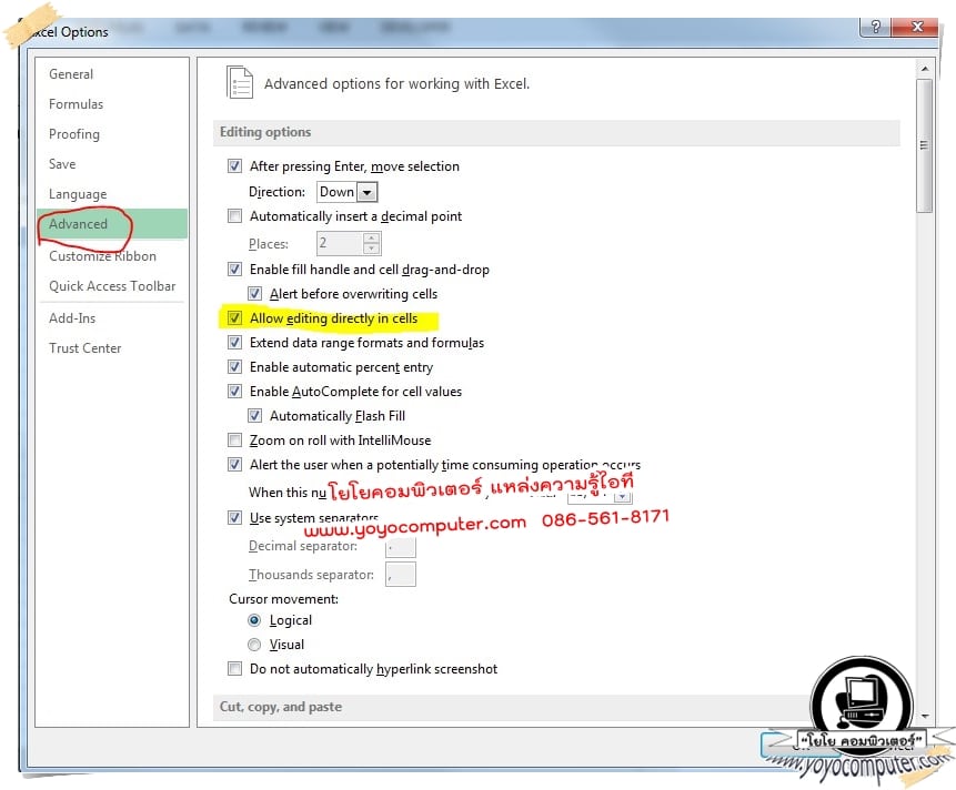 ติ๊กเครื่องหมายถูกที่ Allow editing directly in cells แล้วกด OK