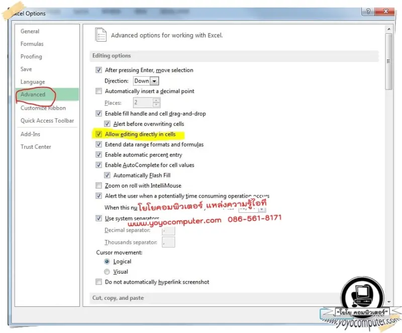 ติ๊กเครื่องหมายถูกที่ Allow editing directly in cells แล้วกด OK