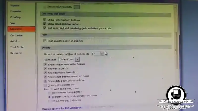 Excel Options หน้า Advanced แสดงการตั้งค่า DDE