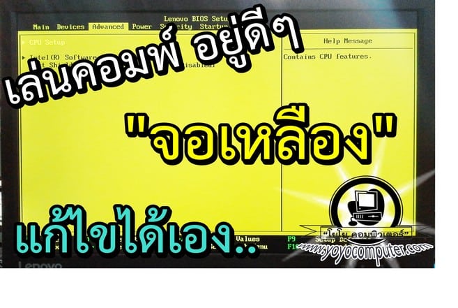 แก้ได้เอง! หน้าจอคอมพิวเตอร์เป็นสีเหลืองหรือสีชมพูทั้งจอ สาเหตุและวิธีแก้