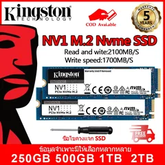 Kingston NV2 500GB NVMe M.2 (งบประหยัด)